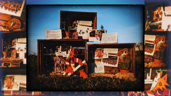 VIVA THE DESERT DOGS